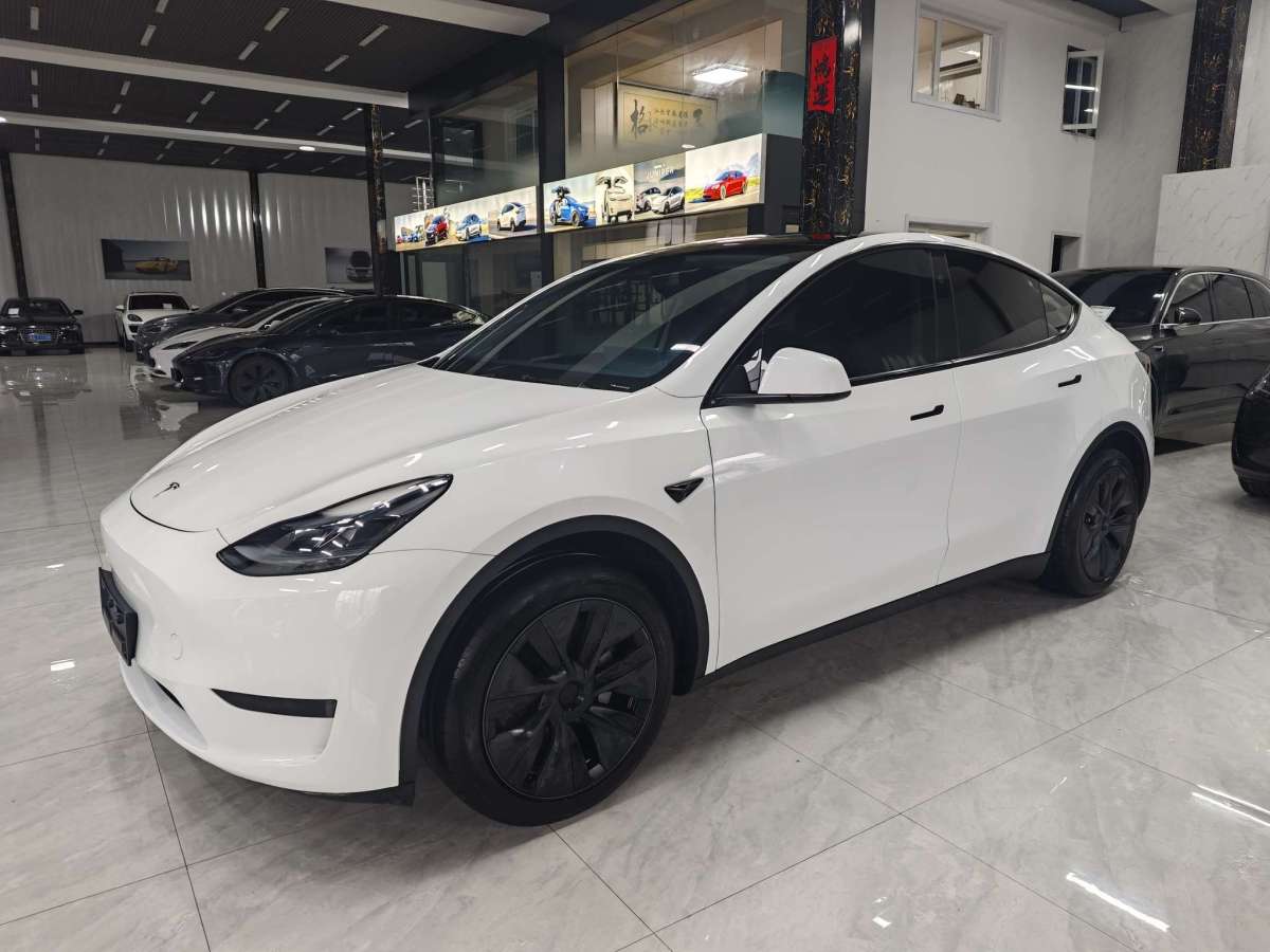 特斯拉 Model Y  2024款 后輪驅動版圖片