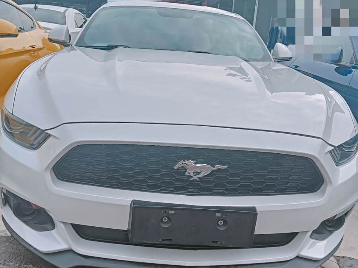 福特 Mustang  2015款 2.3T 性能版圖片