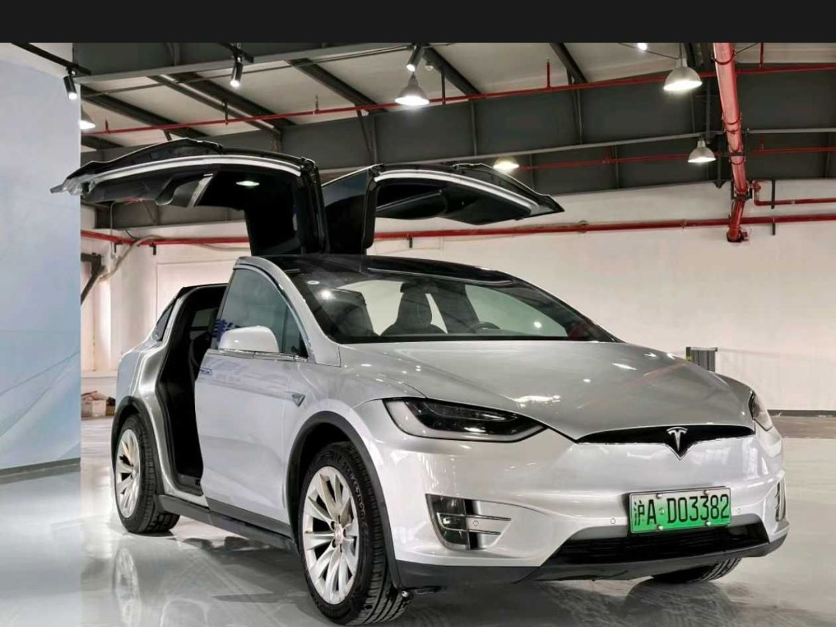 特斯拉 Model X  2020款 Performance 高性能版圖片