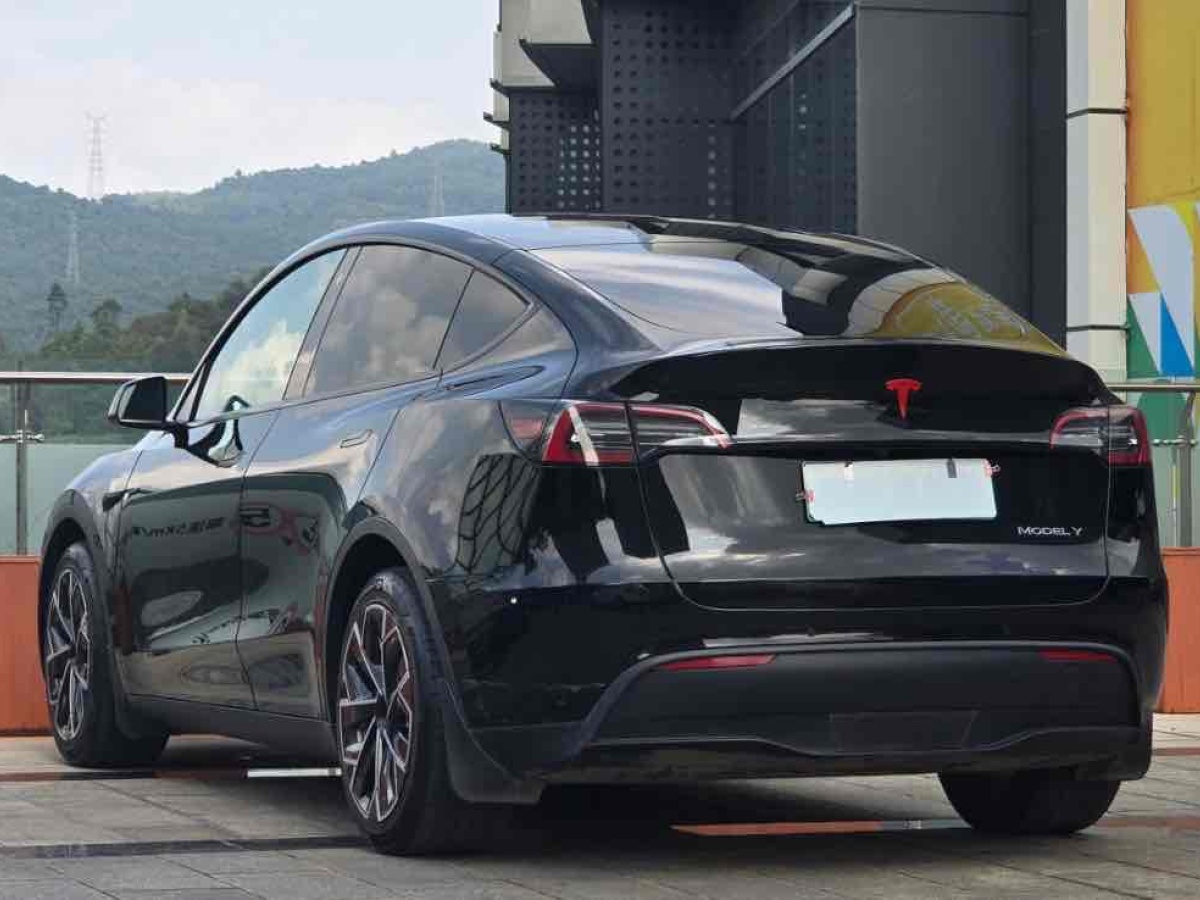 特斯拉 Model Y  2021款 改款 標準續(xù)航后驅(qū)升級版圖片