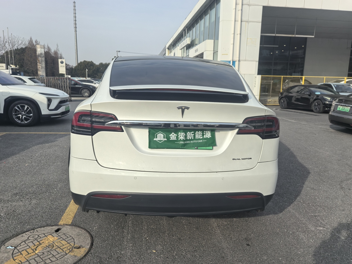 特斯拉 Model X  2019款 長續(xù)航版圖片