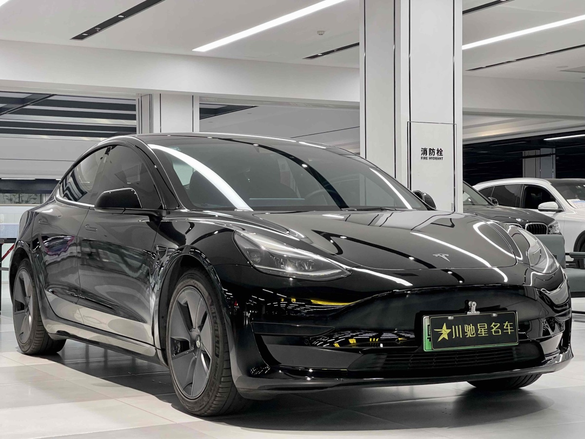 特斯拉 Model 3  2021款 標(biāo)準(zhǔn)續(xù)航后驅(qū)升級版 3D6圖片