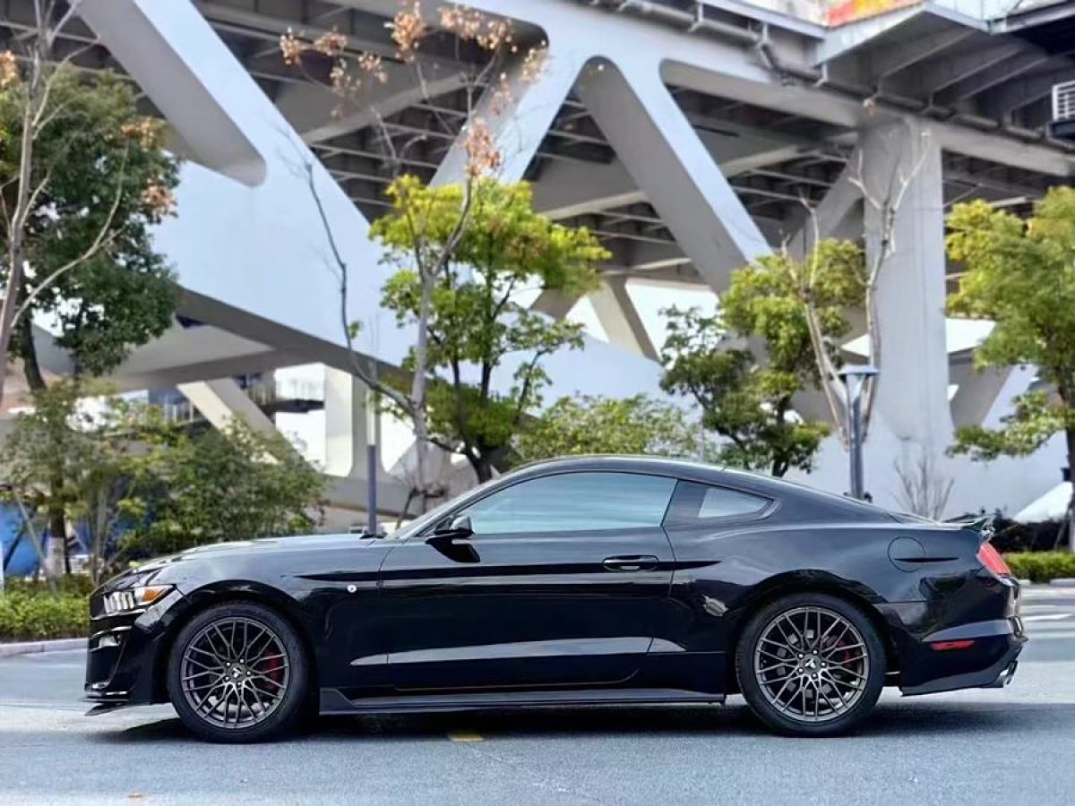 福特 Mustang  2015款 2.3T 性能版圖片