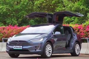 Model X 特斯拉 Model X 100D 长续航版