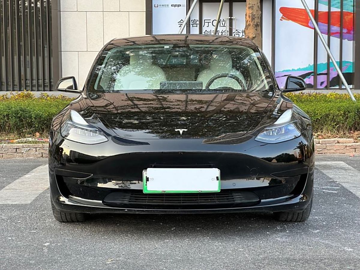 特斯拉 Model 3  2021款 改款 標(biāo)準(zhǔn)續(xù)航后驅(qū)升級(jí)版圖片