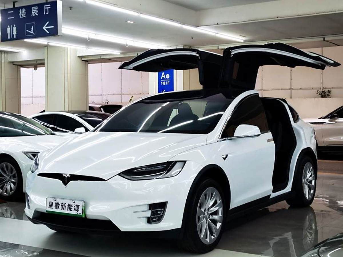 特斯拉 Model X  2020款 長(zhǎng)續(xù)航升級(jí)版圖片