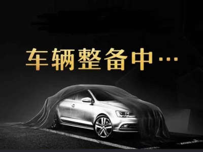 2022年1月 大众 途观X 改款 330TSI 两驱旗舰版图片