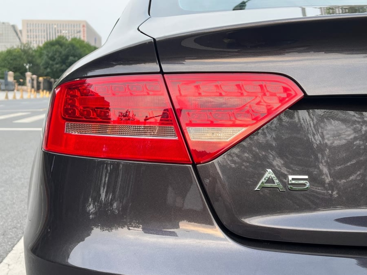 奧迪 奧迪A5  2010款 2.0TFSI Sportback 舒適型圖片