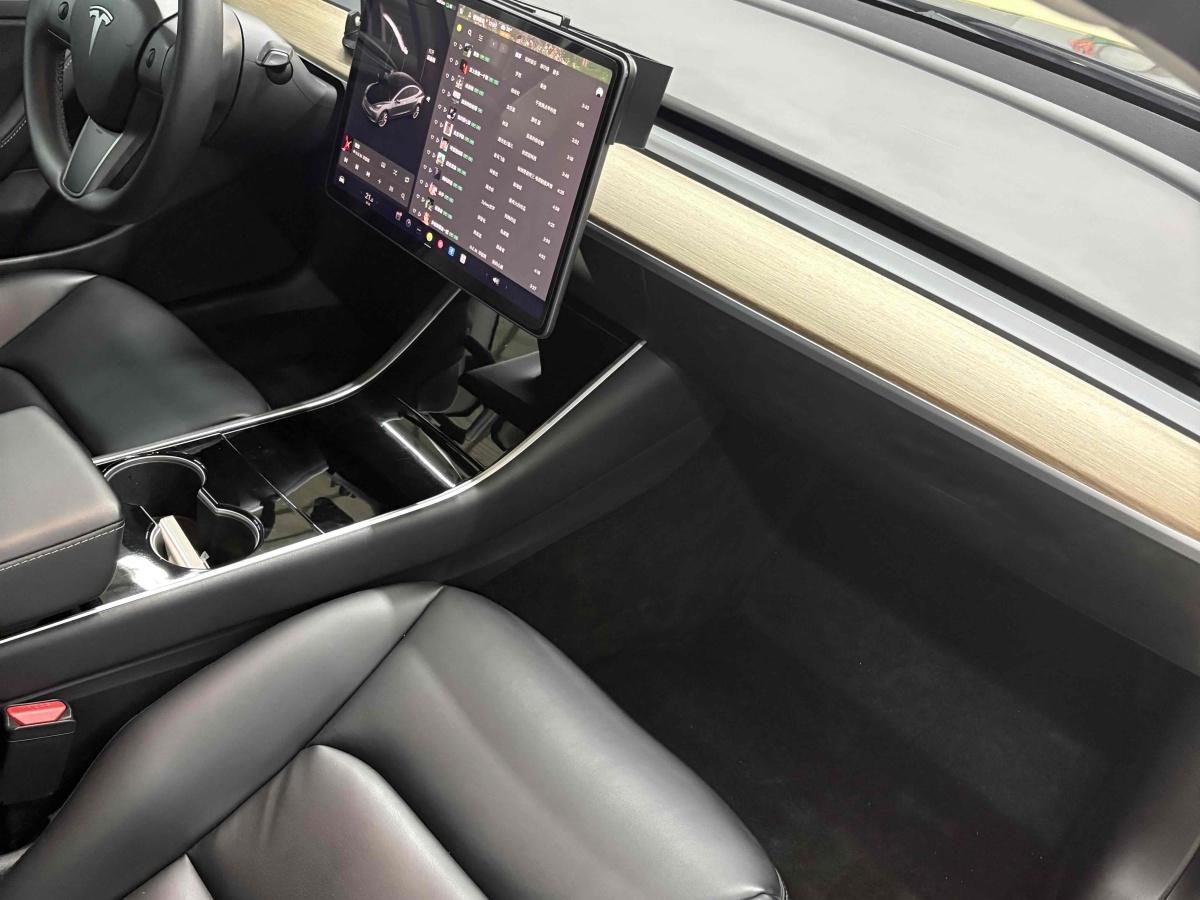特斯拉 Model 3  2020款 改款 標(biāo)準(zhǔn)續(xù)航后驅(qū)升級(jí)版圖片