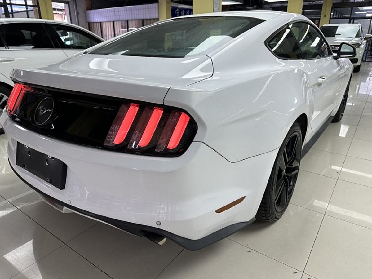 福特 Mustang  2015款 2.3T 性能版圖片