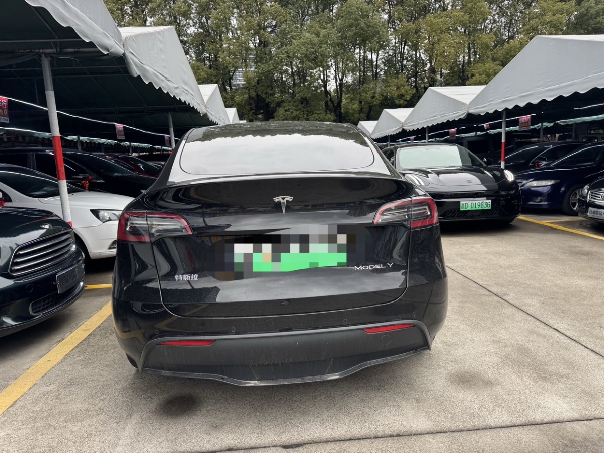 特斯拉 Model Y  2022款 后驅(qū)版圖片