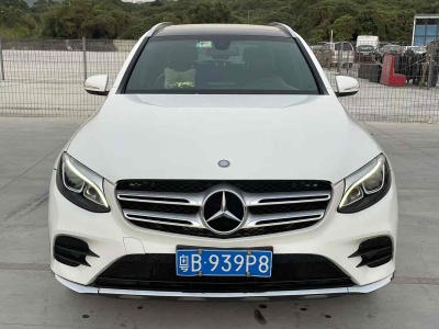 2017年2月 奔馳 奔馳GLC GLC 260 4MATIC 動感型圖片