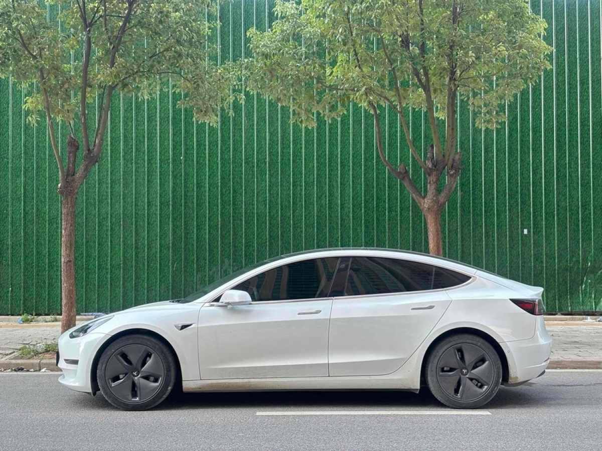 特斯拉 Model 3  2020款 改款 標(biāo)準(zhǔn)續(xù)航后驅(qū)升級(jí)版圖片