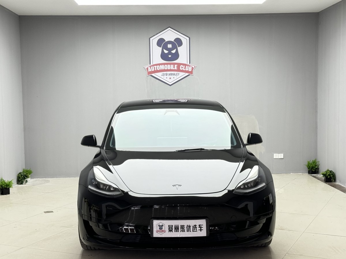 特斯拉 Model 3  2019款 標(biāo)準續(xù)航后驅(qū)升級版圖片