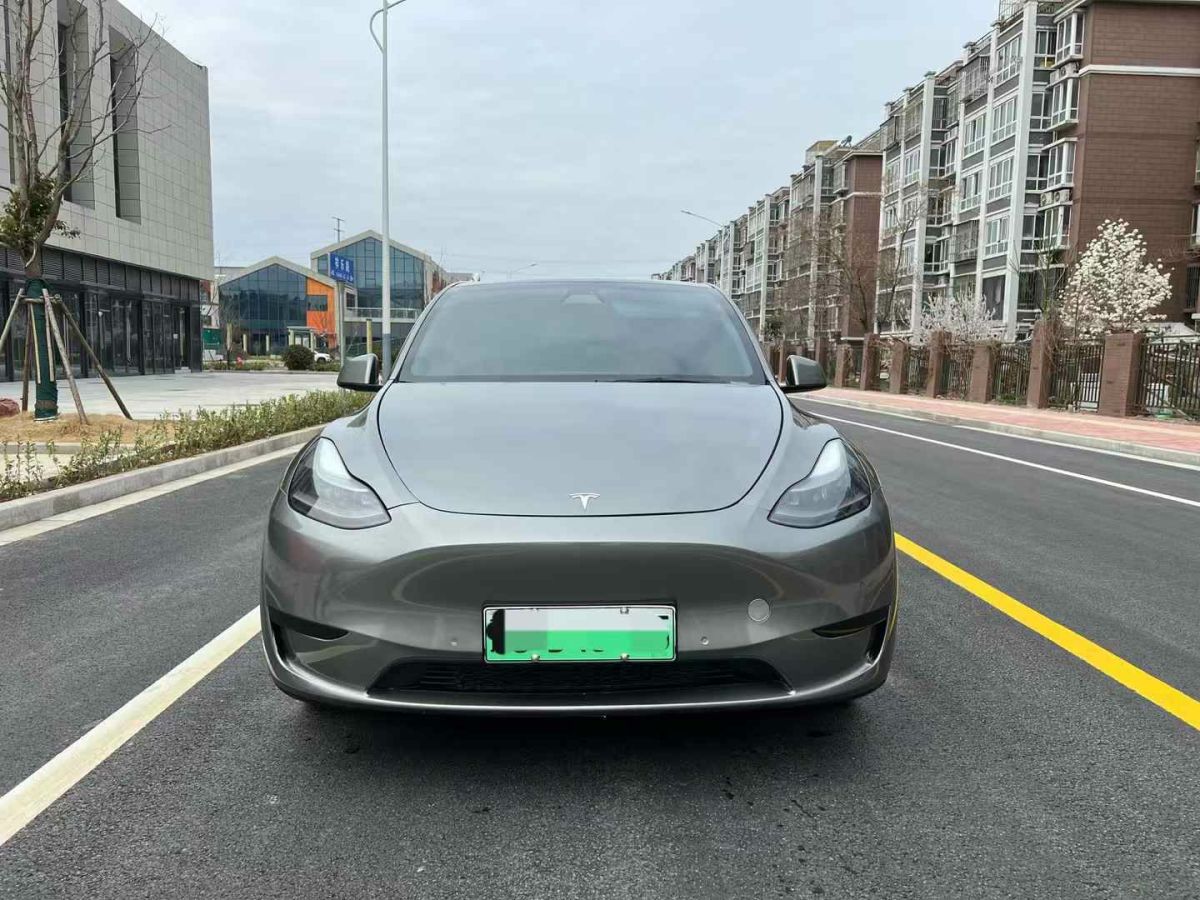 2022年1月特斯拉 Model 3  2022款 Performance高性能全輪驅(qū)動(dòng)版