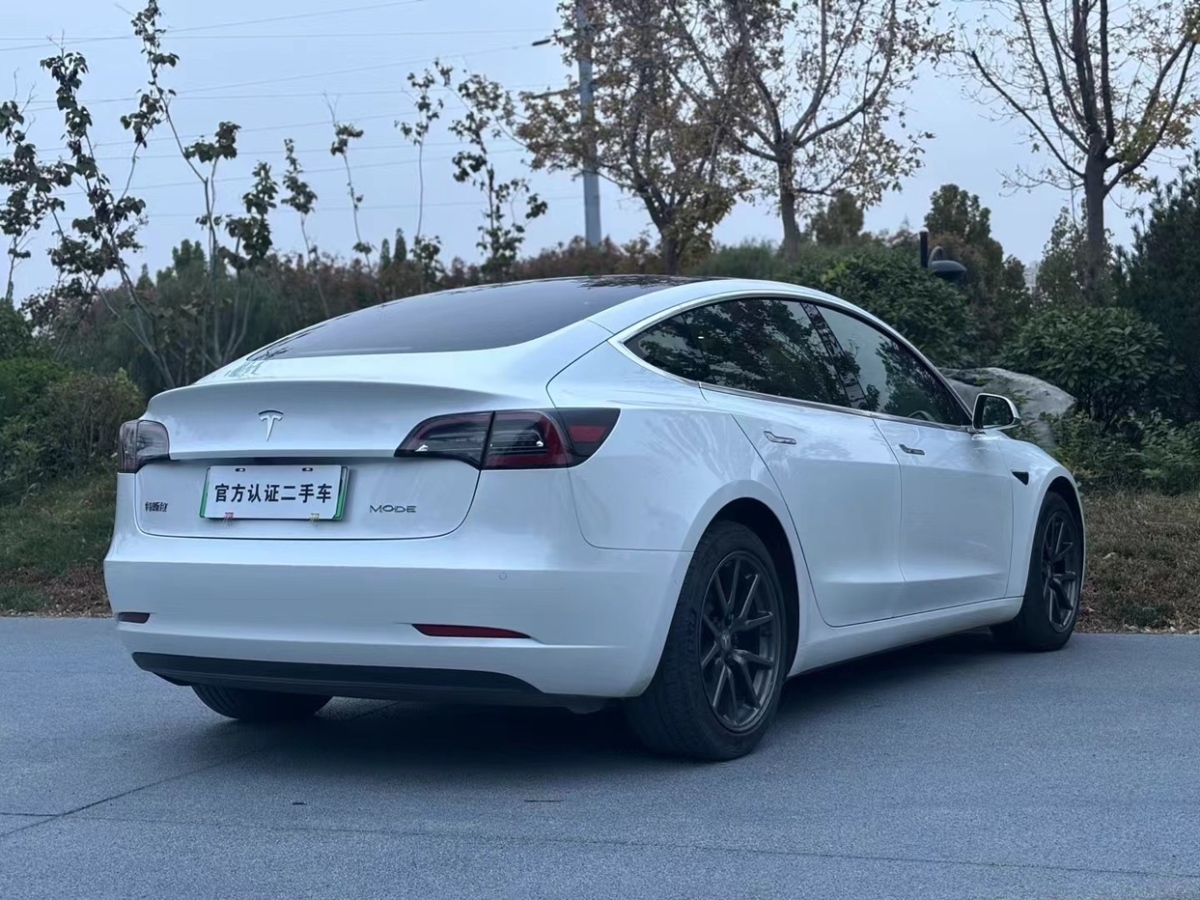 特斯拉 Model Y  2021款 標(biāo)準(zhǔn)續(xù)航后驅(qū)升級(jí)版圖片