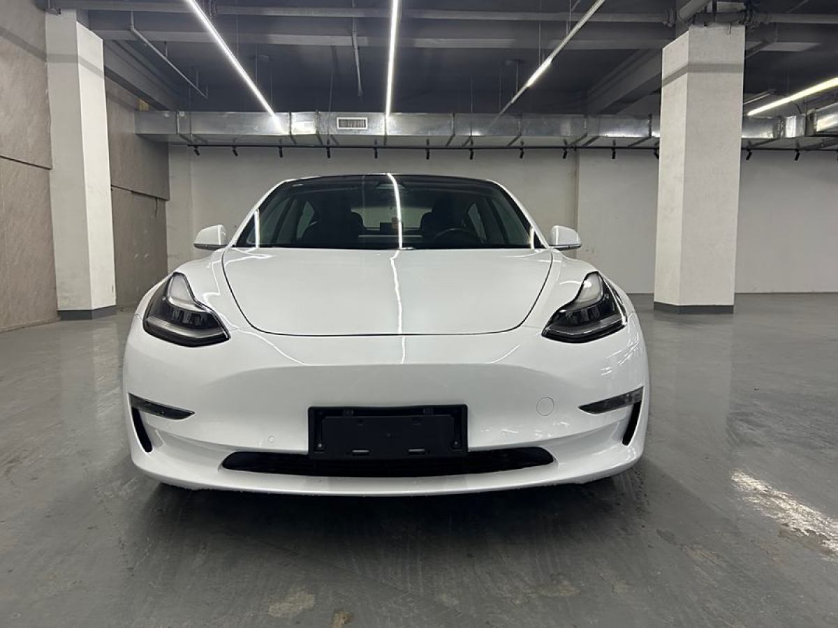 特斯拉 Model 3  2019款 長續(xù)航后驅(qū)版圖片