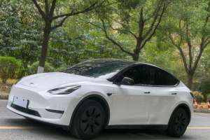 Model Y 特斯拉 標準續(xù)航后驅(qū)版