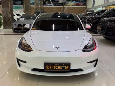 2021年2月 特斯拉 Model 3 标准续航后驱升级版图片