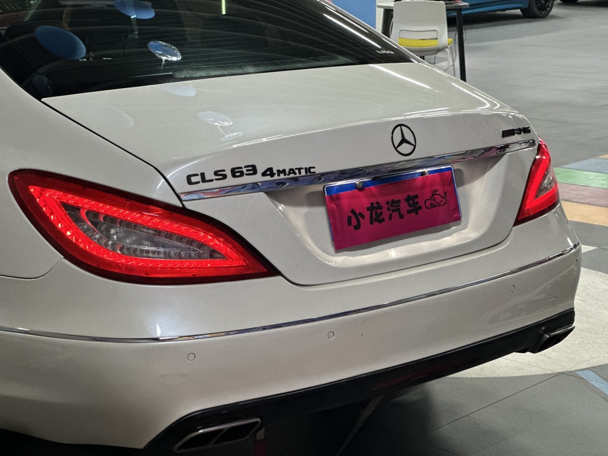 奔馳 奔馳CLS級(jí)  2012款 CLS 300 CGI圖片