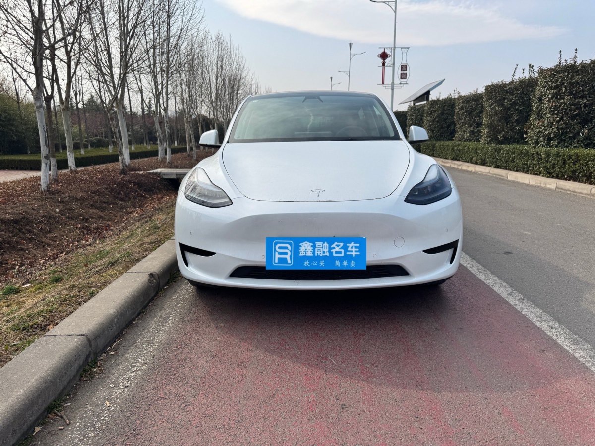 特斯拉 Model 3  2020款 改款 長續(xù)航后輪驅(qū)動版圖片