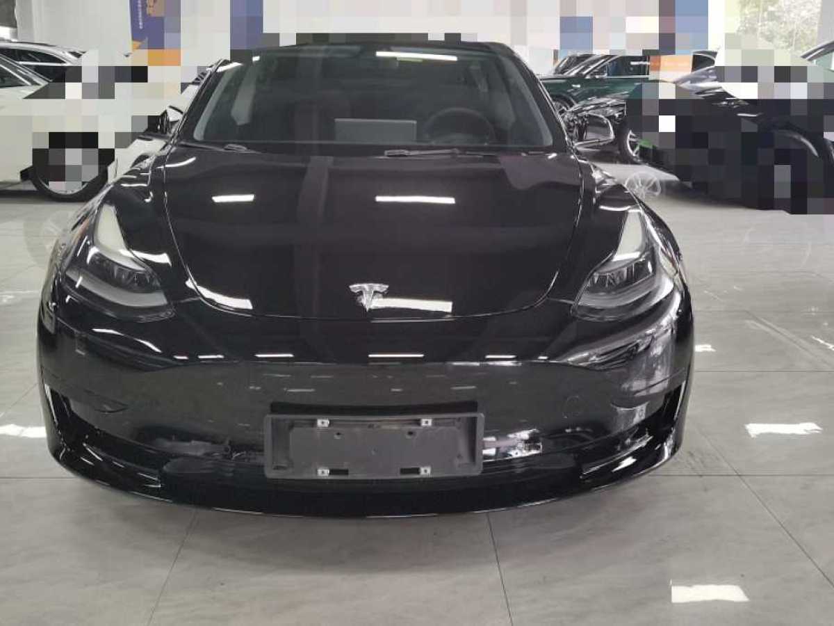 特斯拉 Model 3  2019款 標(biāo)準(zhǔn)續(xù)航后驅(qū)升級(jí)版圖片