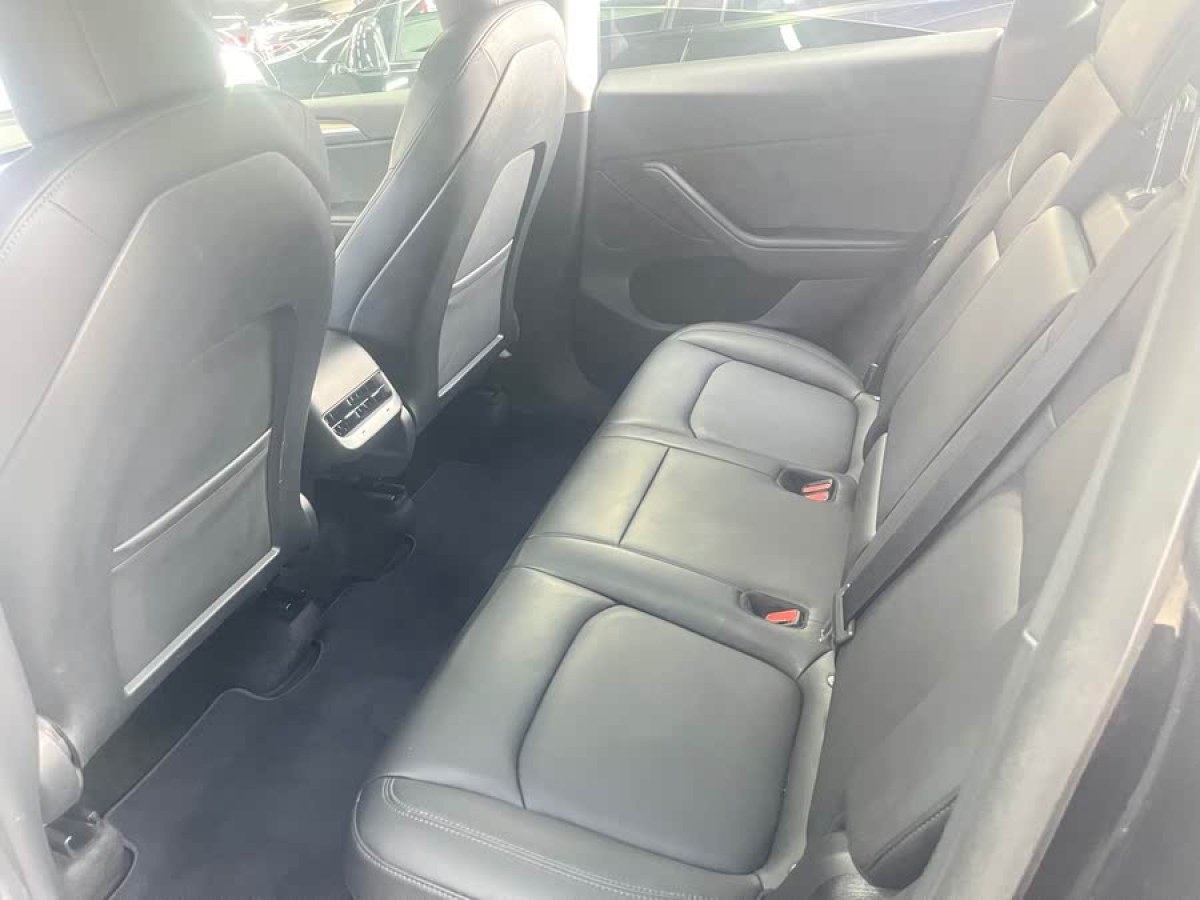 特斯拉 Model Y  2021款 標(biāo)準(zhǔn)續(xù)航后驅(qū)版圖片