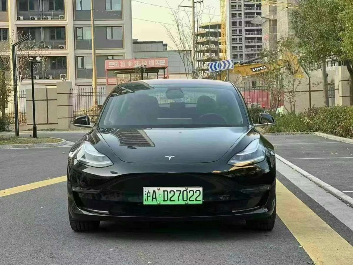 特斯拉 Model 3  2019款 長續(xù)航后驅(qū)版圖片