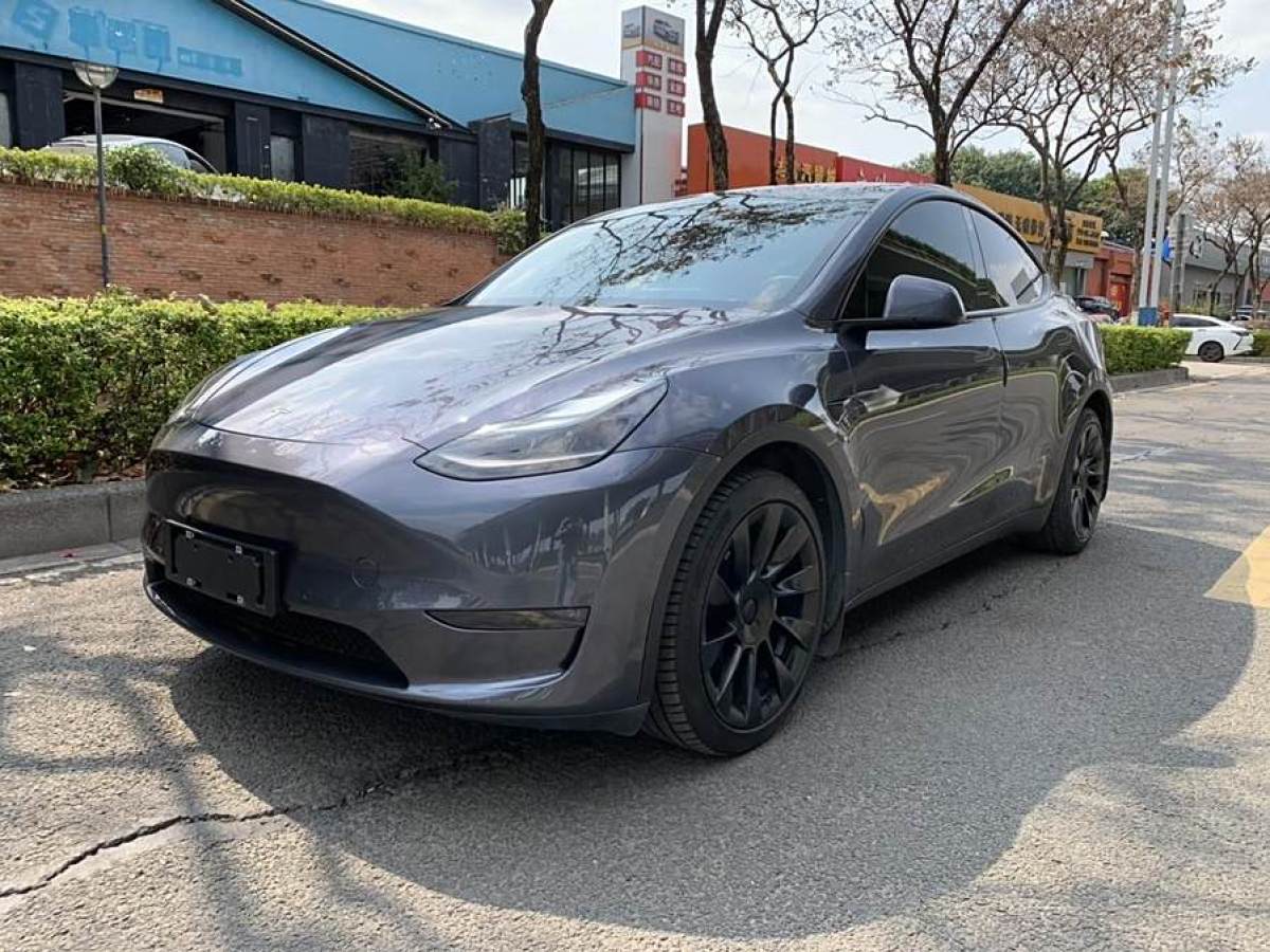 2021年3月特斯拉 Model Y  2021款 改款 長(zhǎng)續(xù)航全輪驅(qū)動(dòng)版