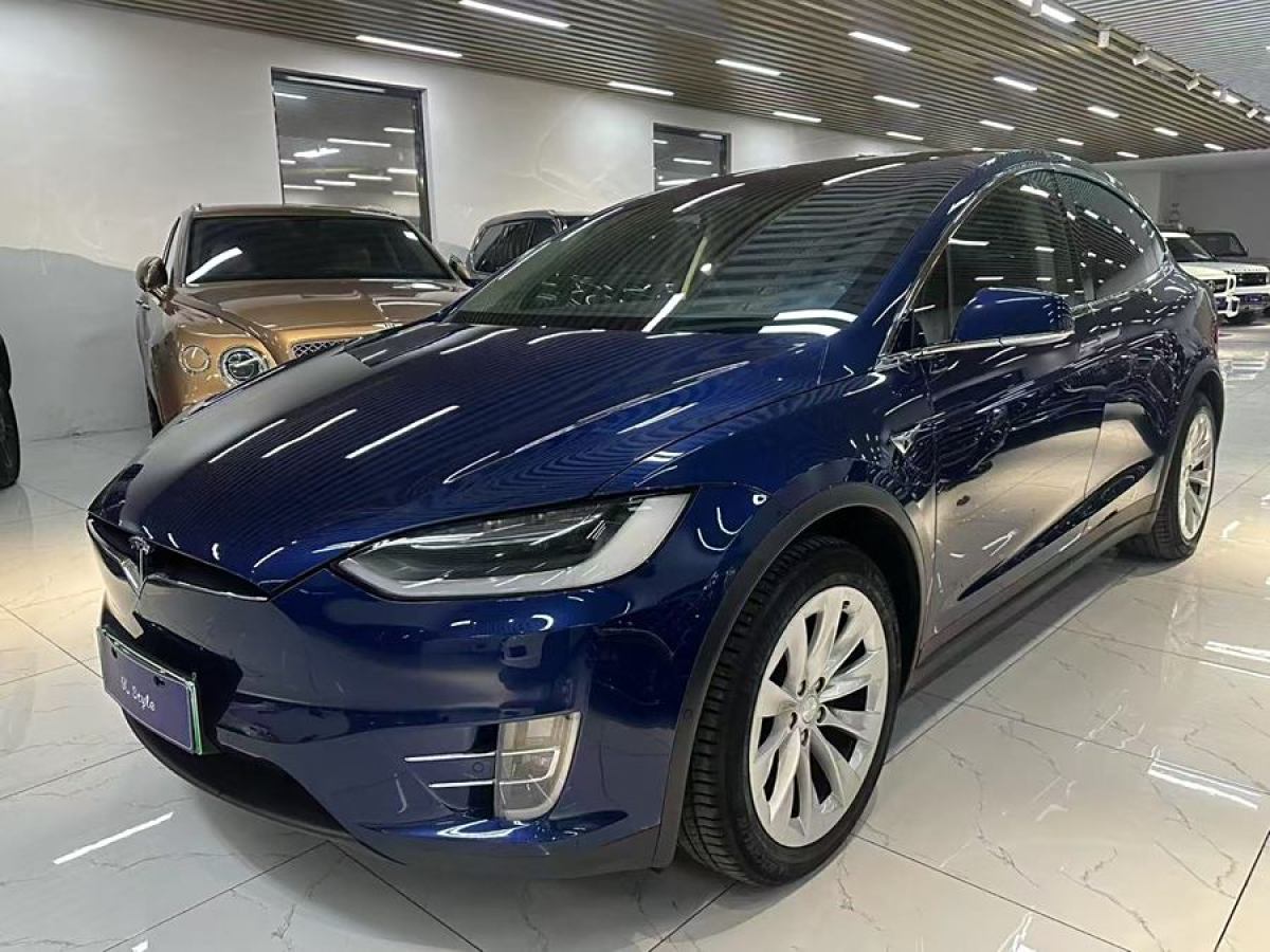 特斯拉 Model X  2019款 長續(xù)航版圖片