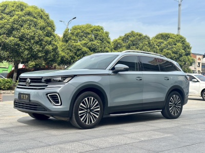 大众 揽巡 330TSI 精英巡行版图片