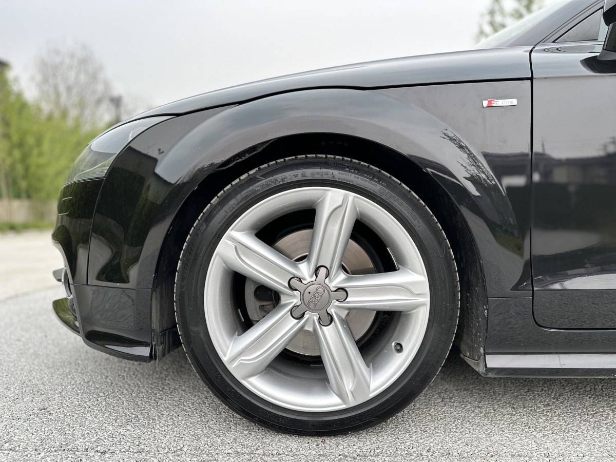 奥迪 奥迪TT  2013款 TT Coupe 45 TFSI 黑色旋风版图片