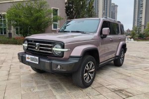 坦克300 坦克 城市版 2.0T 很有型