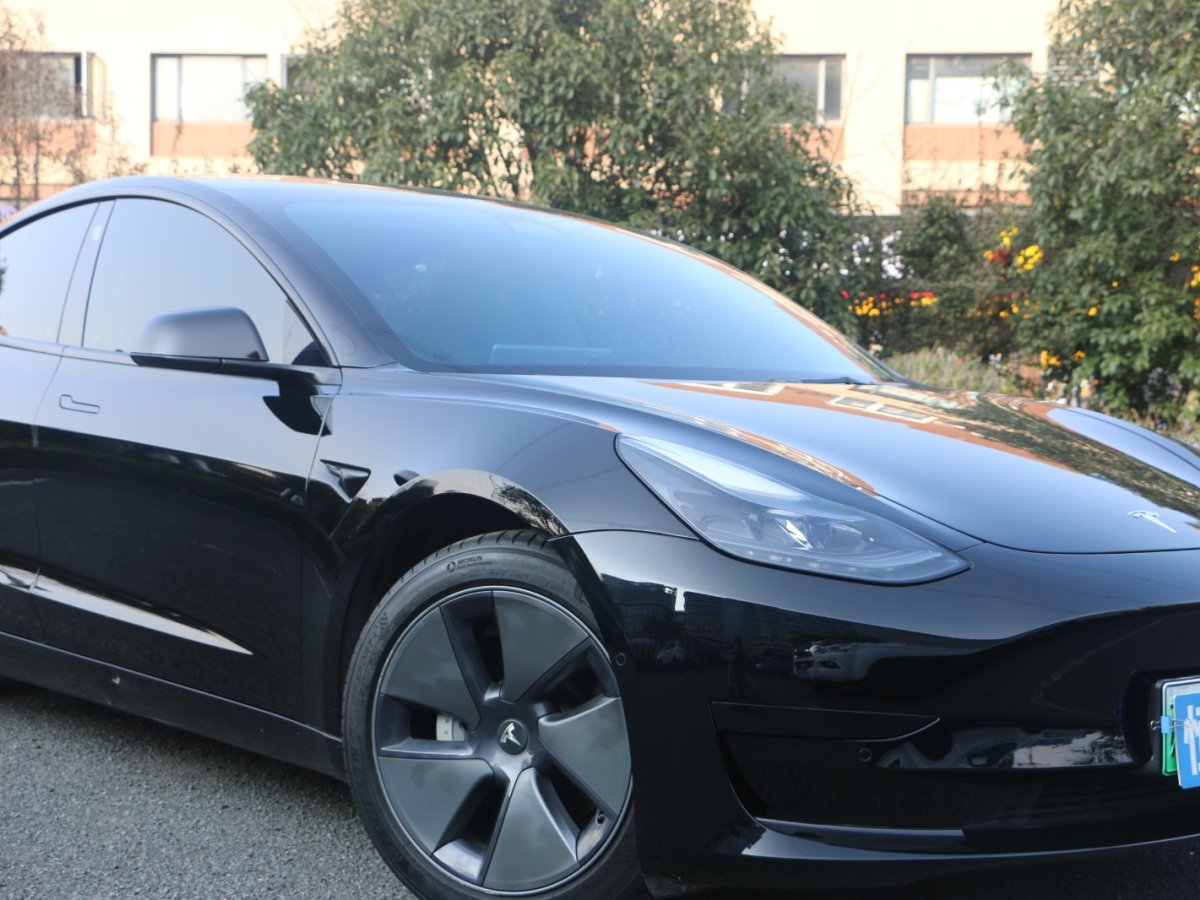 特斯拉 Model 3  2022款 后輪驅(qū)動版圖片