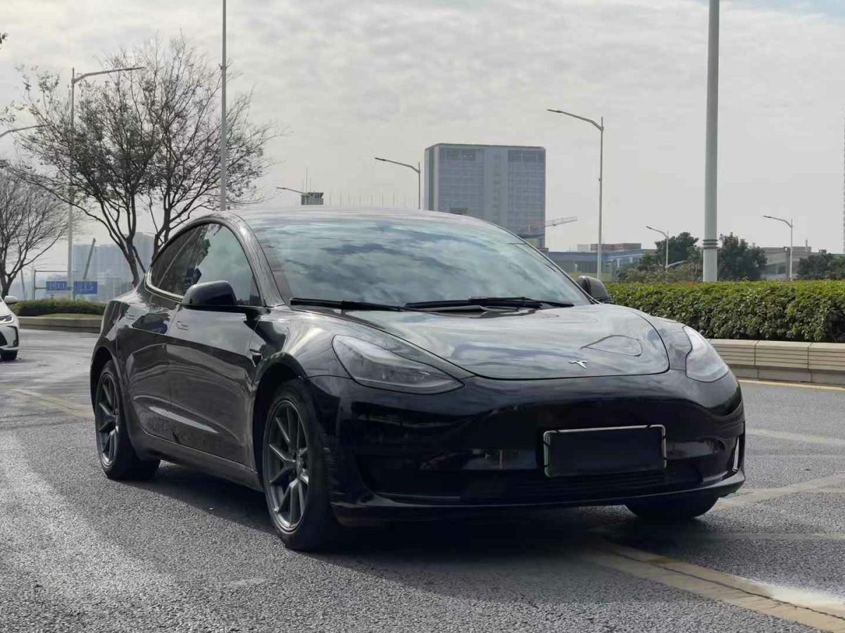 特斯拉 Model 3  2022款 Performance高性能全輪驅(qū)動(dòng)版圖片