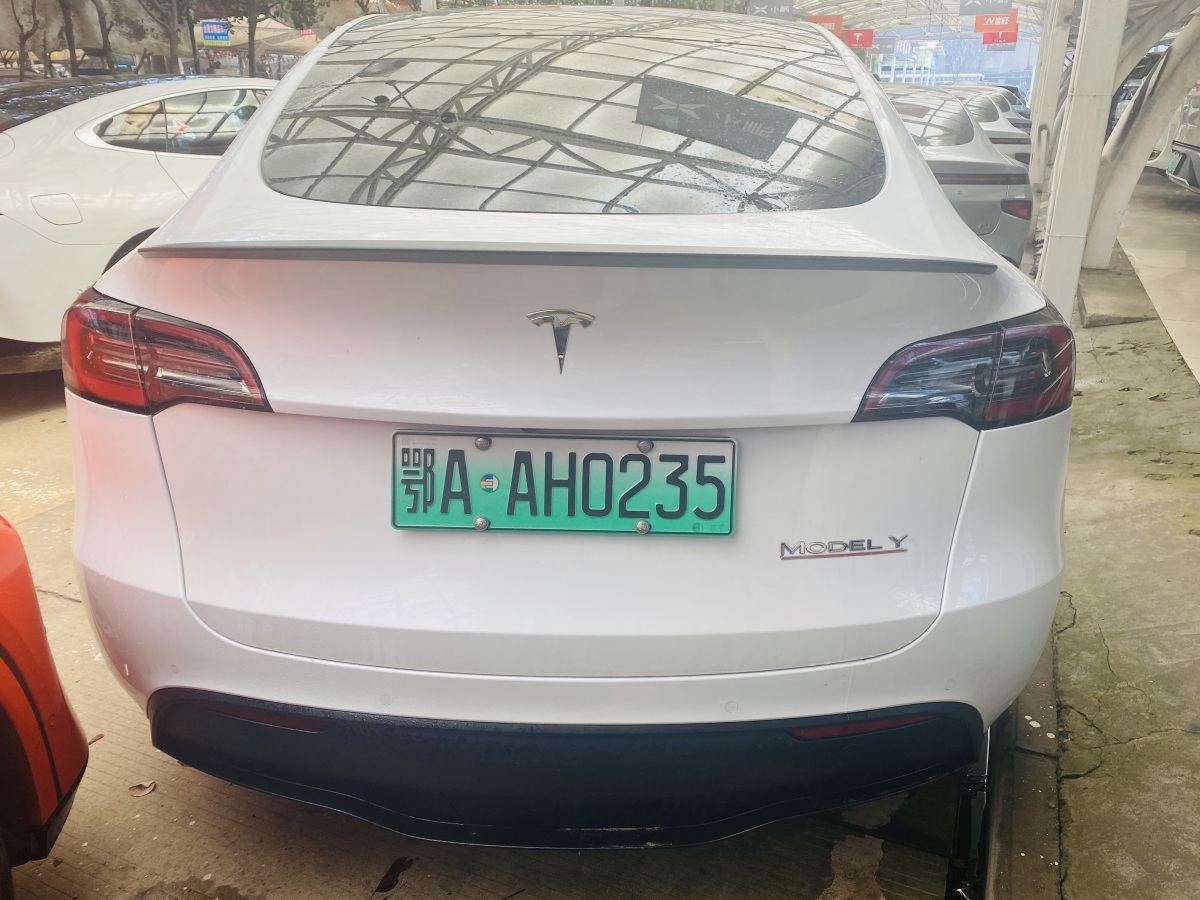 特斯拉 Model Y  2022款 Performance高性能全輪驅動版圖片