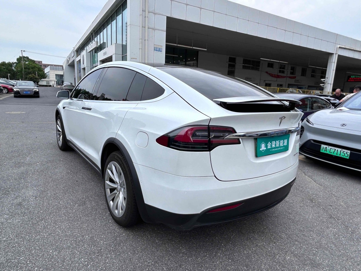 特斯拉 Model X  2019款 Performance 高性能版圖片