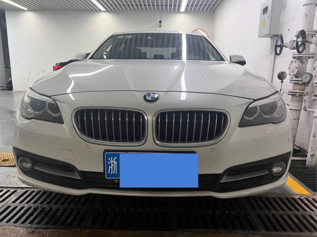 寶馬 寶馬5系  2013款 530Li 領(lǐng)先型圖片