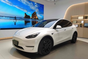 Model Y 特斯拉 长续航焕新版 双电机全轮驱动