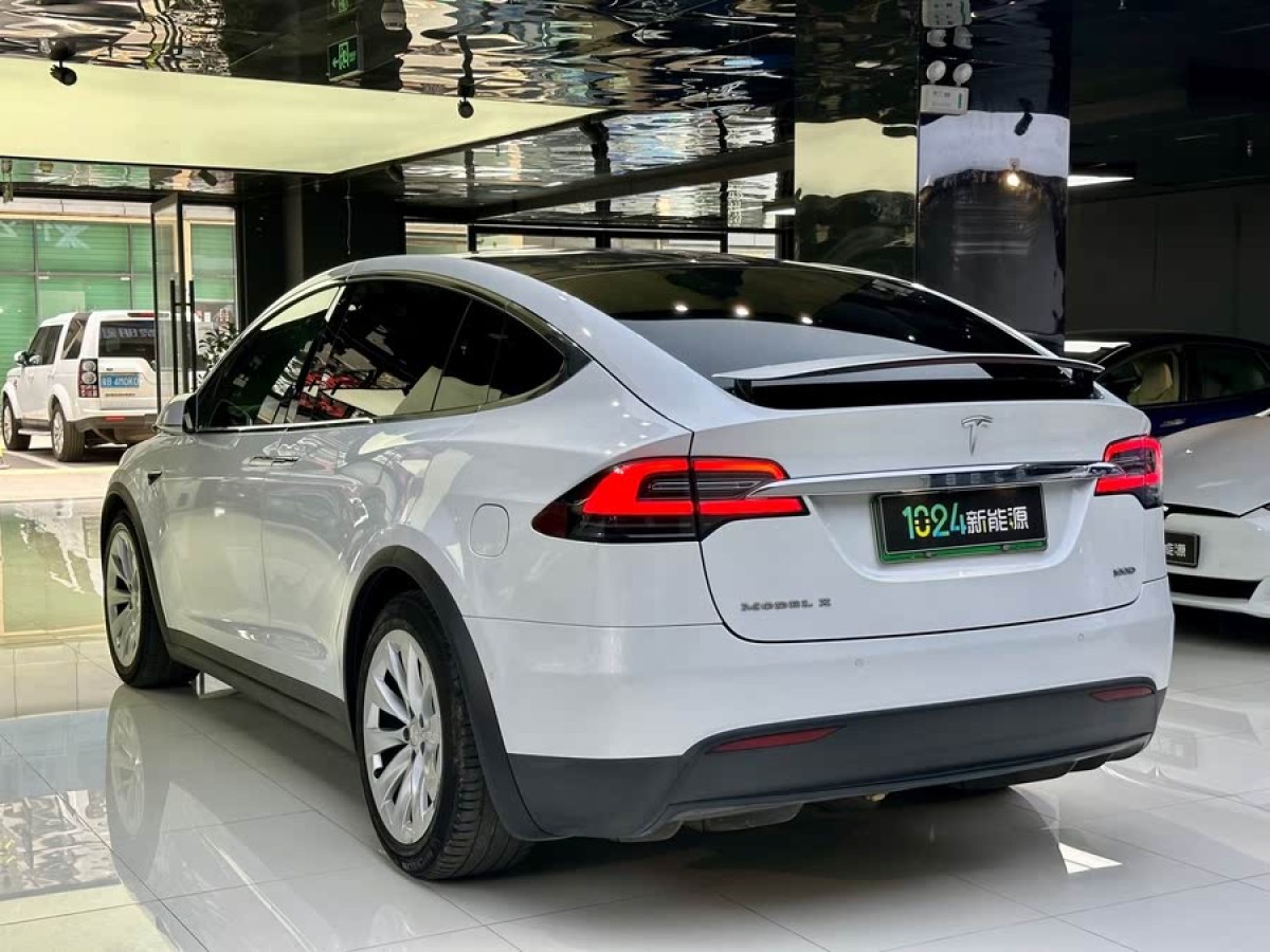 特斯拉 Model X  2017款 Model X 100D 長續(xù)航版圖片