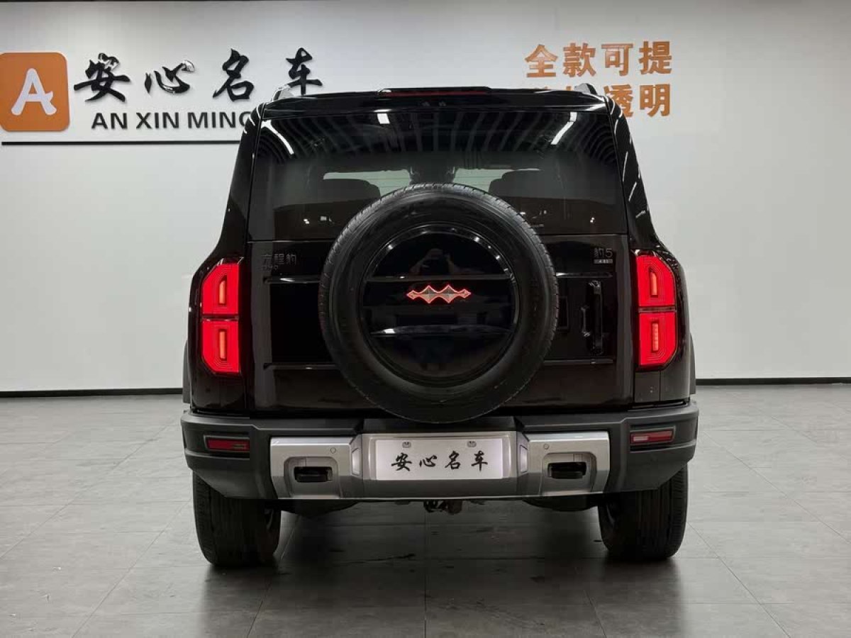 方程豹 豹5  2024款 改款 云輦豪華版圖片