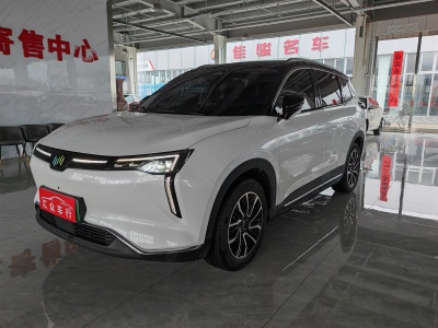 2022年9月 威马 威马W6 520km PRO全能版图片