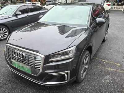 2021年1月 奧迪 奧迪SQ5(進(jìn)口) 3.0 TFSI quattro圖片