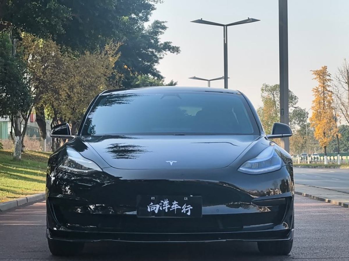 特斯拉 Model 3  2020款 改款 標(biāo)準(zhǔn)續(xù)航后驅(qū)升級(jí)版圖片