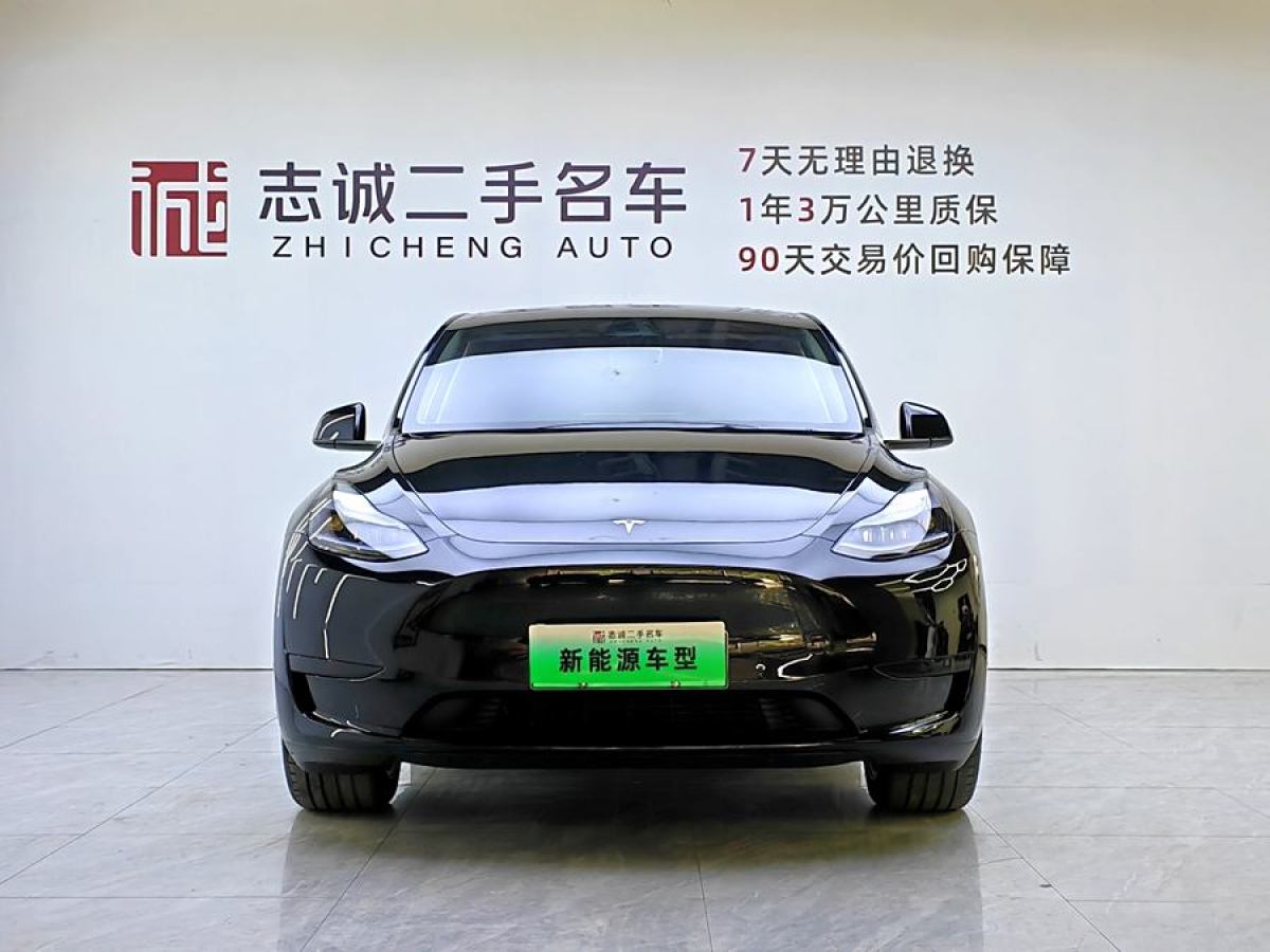 特斯拉 Model Y  2020款 改款 長續(xù)航后輪驅(qū)動版圖片