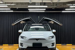 Model X 特斯拉 Model X 100D 长续航版