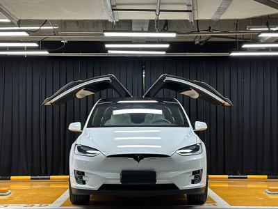 2018年7月 特斯拉 Model X Model X 100D 长续航版图片