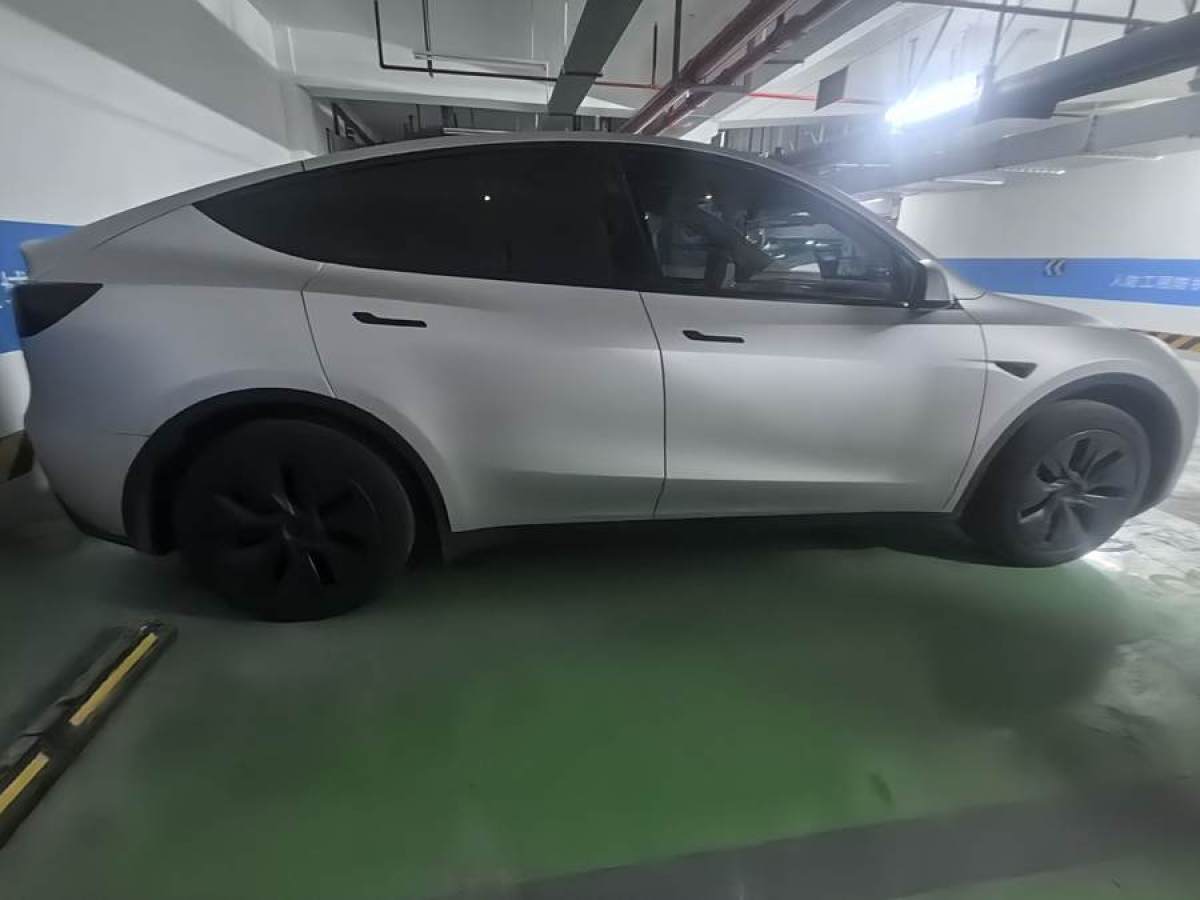 特斯拉 Model 3  2020款 改款 長續(xù)航后輪驅動版圖片