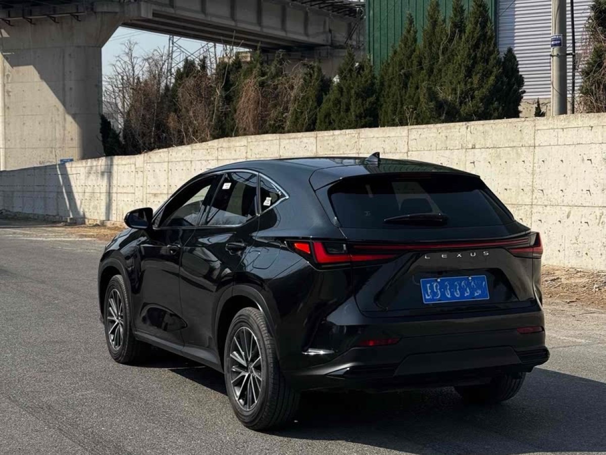 雷克薩斯 NX  2023款 350h 前驅(qū) 創(chuàng)悅版圖片