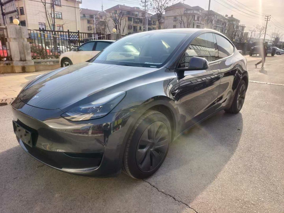 特斯拉 Model Y  2024款 Performance高性能版圖片